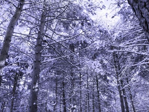 Fotografia de Jjavier - Galeria Fotografica: rarezas - Foto: azul