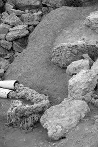 Fotografia de GEMA ABALOS - Galeria Fotografica: LA MAR - Foto: 