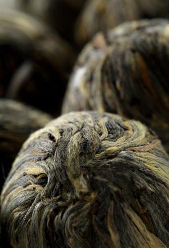 Fotografia de Karla Ledesma - Galeria Fotografica: Close Ups - Foto: 