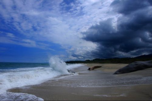 Fotografia de Juan Carlos Arbelaez - Galeria Fotografica: Varios - Foto: 