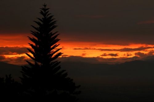 Fotografia de Juan Carlos Arbelaez - Galeria Fotografica: Varios - Foto: 