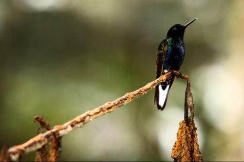 Fotografia de Juan Carlos Arbelaez - Galeria Fotografica: Varios - Foto: 