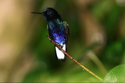 Fotografia de Juan Carlos Arbelaez - Galeria Fotografica: Varios - Foto: 