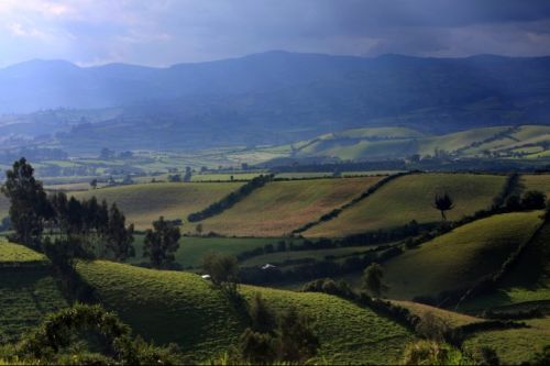 Fotografia de Juan Carlos Arbelaez - Galeria Fotografica: Varios - Foto: 