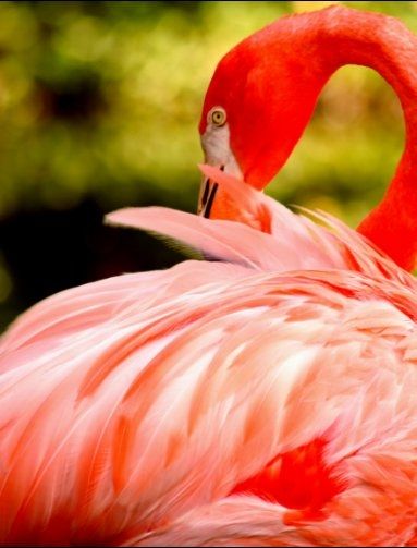 Fotografia de Juan Carlos Arbelaez - Galeria Fotografica: Varios - Foto: 