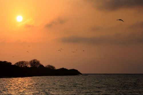 Fotografia de Juan Carlos Arbelaez - Galeria Fotografica: Varios - Foto: 