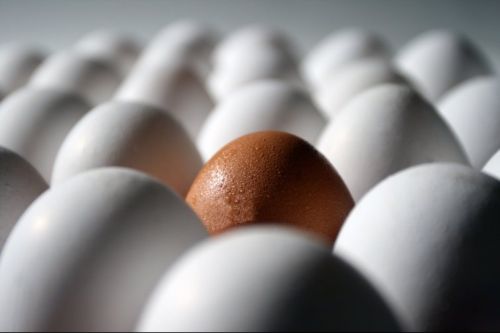 Fotografia de Juan Carlos Arbelaez - Galeria Fotografica: Varios - Foto: 