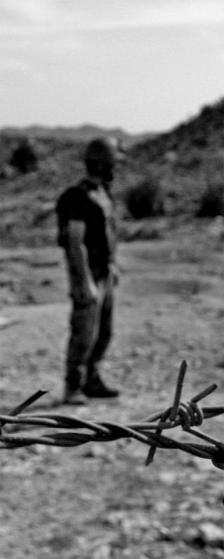 Fotografia de Toni Huertas - Galeria Fotografica: Nacido Salvaje - Foto: 