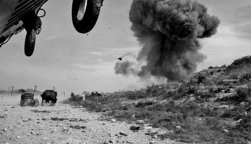 Fotografia de Toni Huertas - Galeria Fotografica: Nacido Salvaje - Foto: 