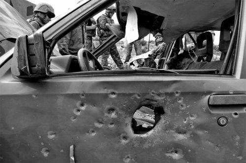 Fotografia de Toni Huertas - Galeria Fotografica: Nacido Salvaje - Foto: 