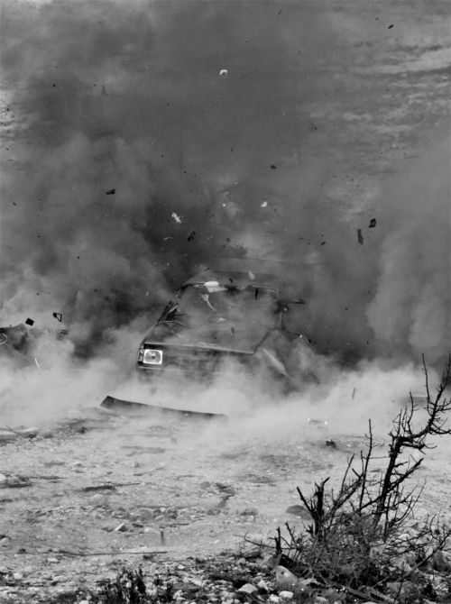 Fotografia de Toni Huertas - Galeria Fotografica: Nacido Salvaje - Foto: 