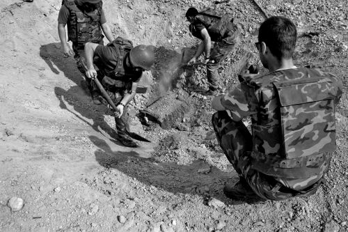 Fotografia de Toni Huertas - Galeria Fotografica: Nacido Salvaje - Foto: 