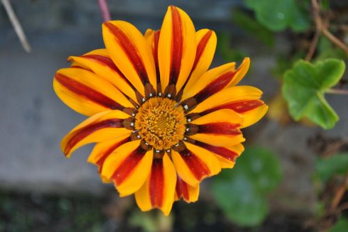 Fotografia de martin - Galeria Fotografica: varias - Foto: 