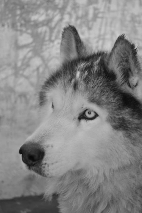 Fotografia de martin - Galeria Fotografica: varias - Foto: 