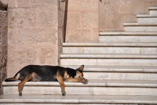 Fotografia de martin - Galeria Fotografica: varias - Foto: 