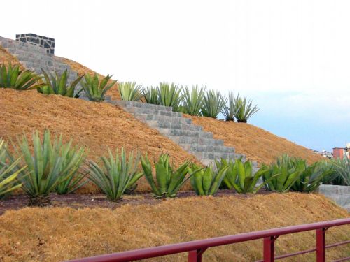 Fotografia de luis edwin - Galeria Fotografica: Instantes - Foto: 