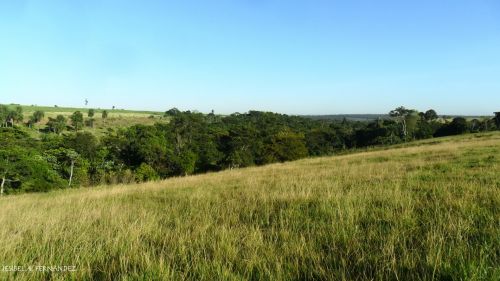 Fotografia de Jesibel Fernndez - Galeria Fotografica: PAISAJES - Foto: Enero