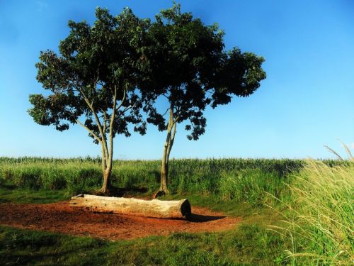 Fotografia de Jesibel Fernndez - Galeria Fotografica: PAISAJES - Foto: Agosto 2015