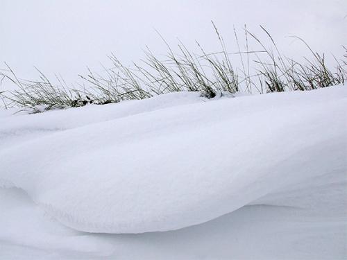 Fotografia de Sin Nombre - Galeria Fotografica: fotos de naturaleza - Foto: curvas en la nieve
