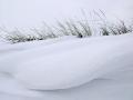 Fotos de Sin Nombre -  Foto: fotos de naturaleza - curvas en la nieve