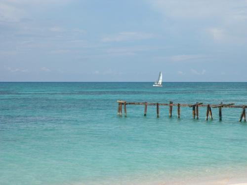 Fotografia de Almendras Amargas - Galeria Fotografica: Centroamrica I - Foto: 