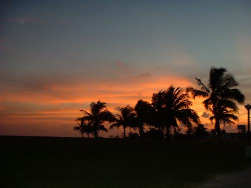 Fotografia de Almendras Amargas - Galeria Fotografica: Centroamrica I - Foto: 