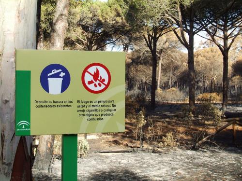 Fotografia de man - Galeria Fotografica: Incendio de Conil (Foto-denuncia) - Foto: 