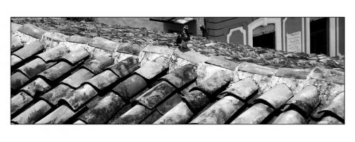 Fotografia de Jair - Galeria Fotografica: Portafolio personal - Foto: Paloma