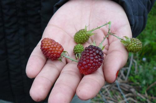 Fotografia de Tony - Galeria Fotografica: Vida - Foto: Moras