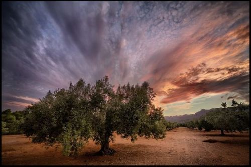 Fotografia de Louse Anne - Galeria Fotografica: Las mejores - Foto: 
