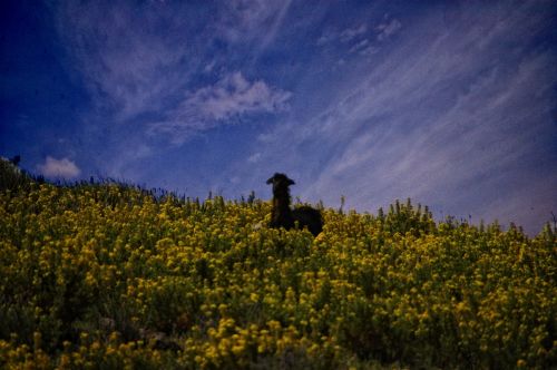 Fotografia de Bagpack Traveller - Galeria Fotografica: Morocco - Foto: 