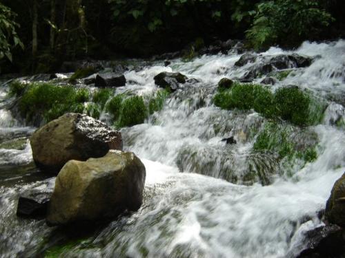 Fotografia de Nerio - Galeria Fotografica: Mis Fotos - Foto: Puente de Dios