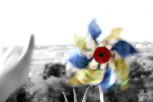 Fotografia de Jell - Galeria Fotografica: Blood , Magic & Colours - Foto: Free I