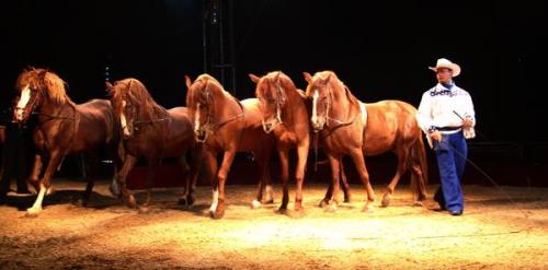 Fotografia de Amalia Infante - Galeria Fotografica: HABIA UNA VEZ UN CIRCO - Foto: 