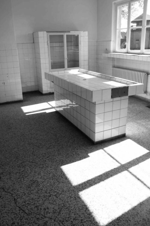 Fotografia de miki - Galeria Fotografica: 19j - Foto: 