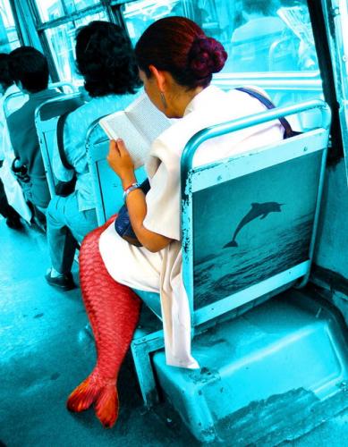 Fotografia de Cuauhtli Arau - Galeria Fotografica: Imagenes del Inconciente Colectivo - Foto: La Belleza