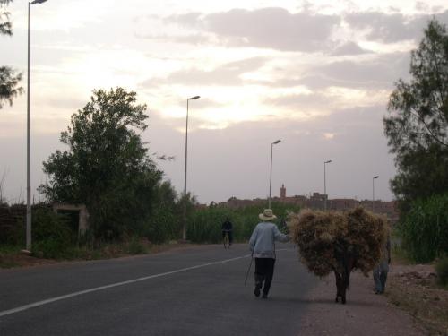 Fotografia de JGil - Galeria Fotografica: Marruecos - Foto: Ouarzazate