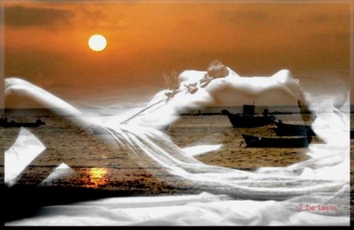 Fotografia de fotok - Galeria Fotografica: Diseos de moda - Foto: 