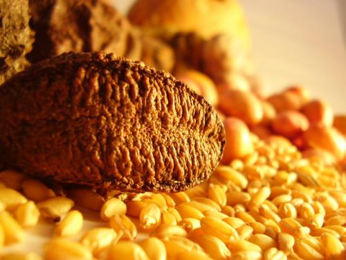 Fotografia de fotogeova - Galeria Fotografica: Bodegn - Foto: macro granal