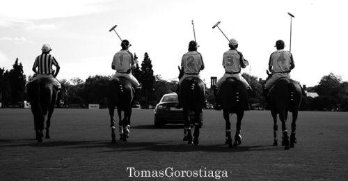 Fotografia de Timo - Galeria Fotografica: Tomas Gorostiaga Photography - Foto: Tomas Gorostiaga Photography