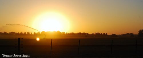 Fotografia de Timo - Galeria Fotografica: Tomas Gorostiaga Photography - Foto: Tomas Gorostiaga Photography