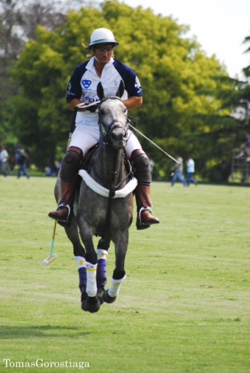 Fotografia de Timo - Galeria Fotografica: Tomas Gorostiaga Photography - Foto: Tomas Gorostiaga Photography