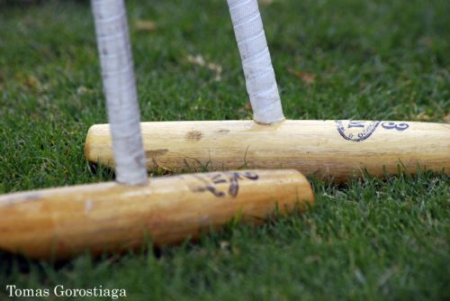 Fotografia de Timo - Galeria Fotografica: Tomas Gorostiaga Photography - Foto: 