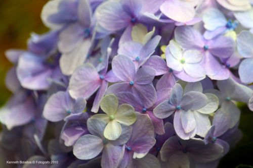 Fotografia de Kenneth Bolaos Foto Lux - Galeria Fotografica: Varias - Foto: 