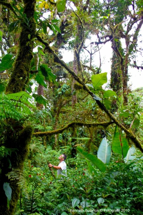 Fotografia de Kenneth Bolaos Foto Lux - Galeria Fotografica: Varias - Foto: 