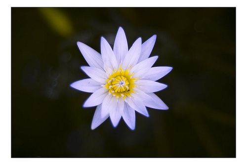 Fotografia de Ojo Areo - Galeria Fotografica: Colores - Foto: Estrellado