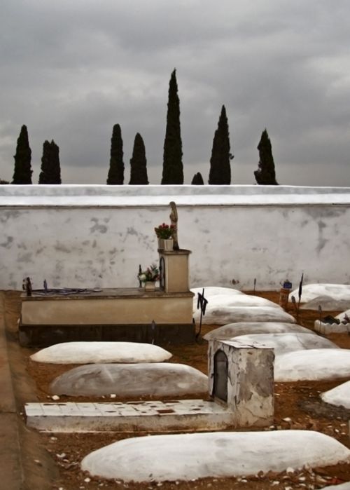 Fotografia de Carica - Galeria Fotografica: UN POCO DE TODO. - Foto: 