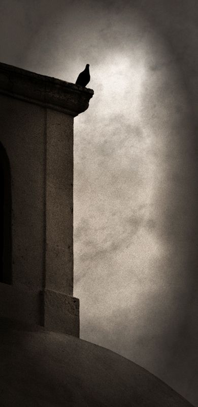 Fotografia de Carica - Galeria Fotografica: UN POCO DE TODO. - Foto: 