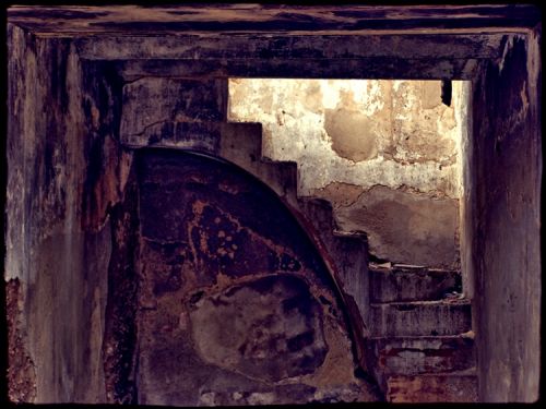 Fotografia de Carica - Galeria Fotografica: UN POCO DE TODO. - Foto: 