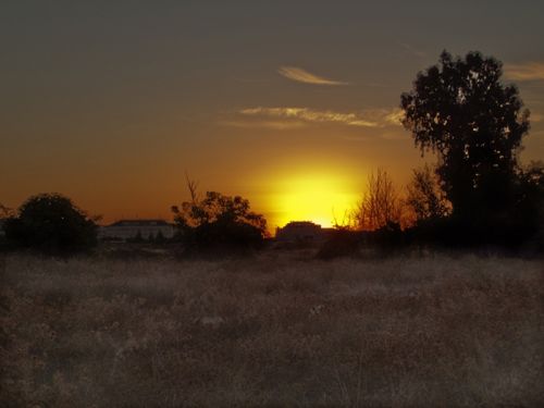 Fotografia de Carica - Galeria Fotografica: UN POCO DE TODO. - Foto: 
